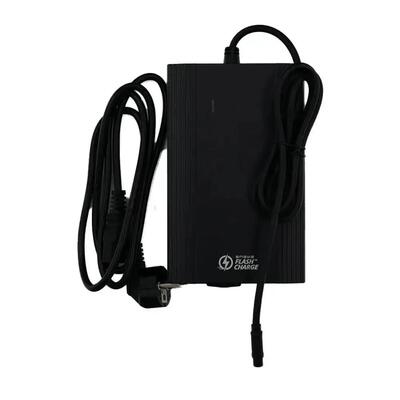 Caricabatterie rapido 8A - per la batteria - per ENGWE LE20