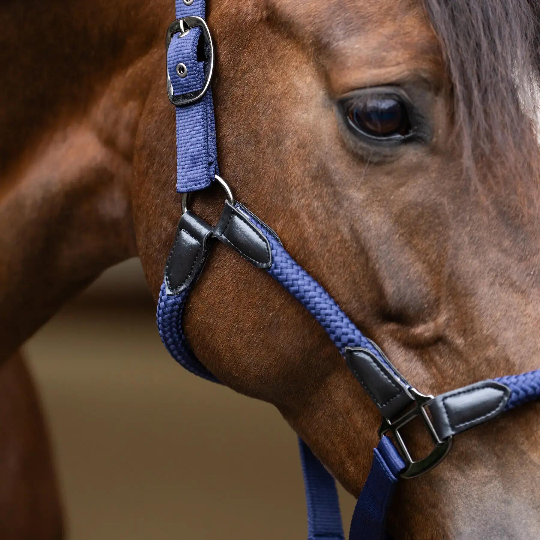 Licol pour cheval Imperial Riding Laura 3/3