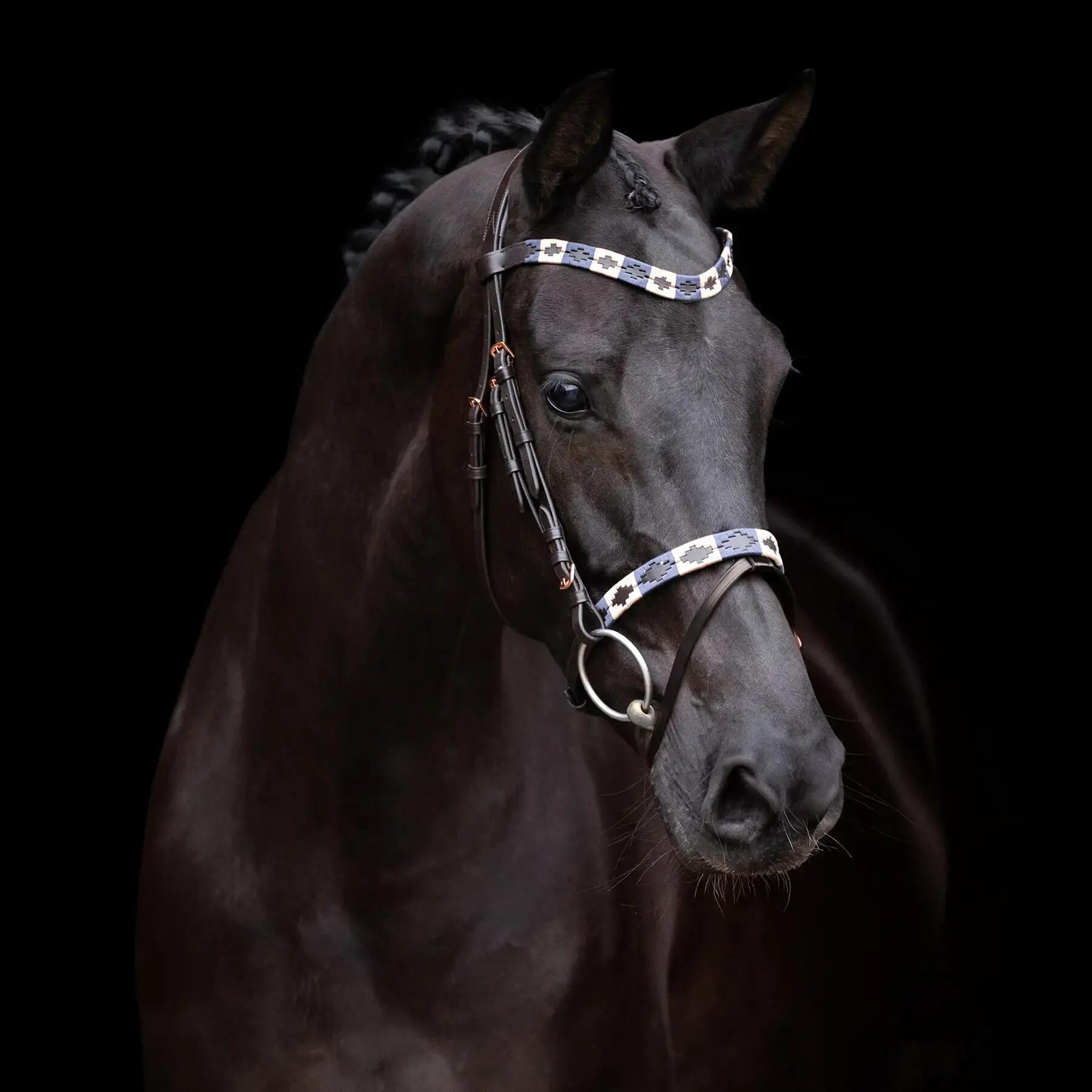 HV POLO picture