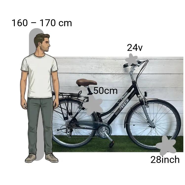 Bicicletta usata Wheeller Cytrek 2/4