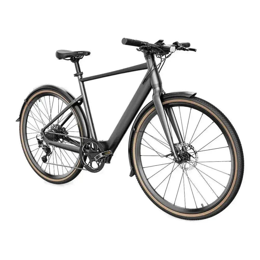 C21 - Bici elettrica - 27,6 pollici - 250W - motore centrale - Grigio 2/3