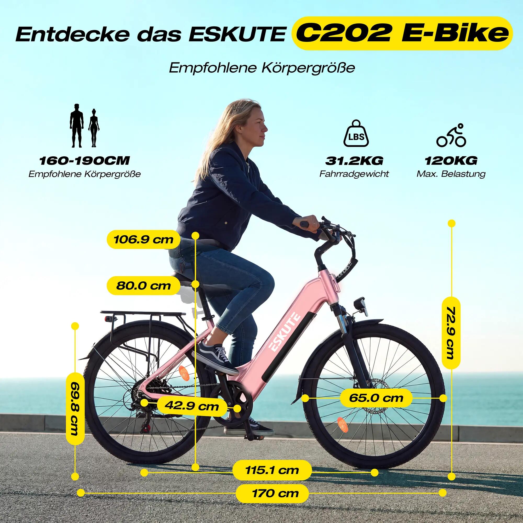 Ebike Para Adultos ESKUTE C202 - Motor 250W - 48V17.5Ah - Neumático 26" 6/7
