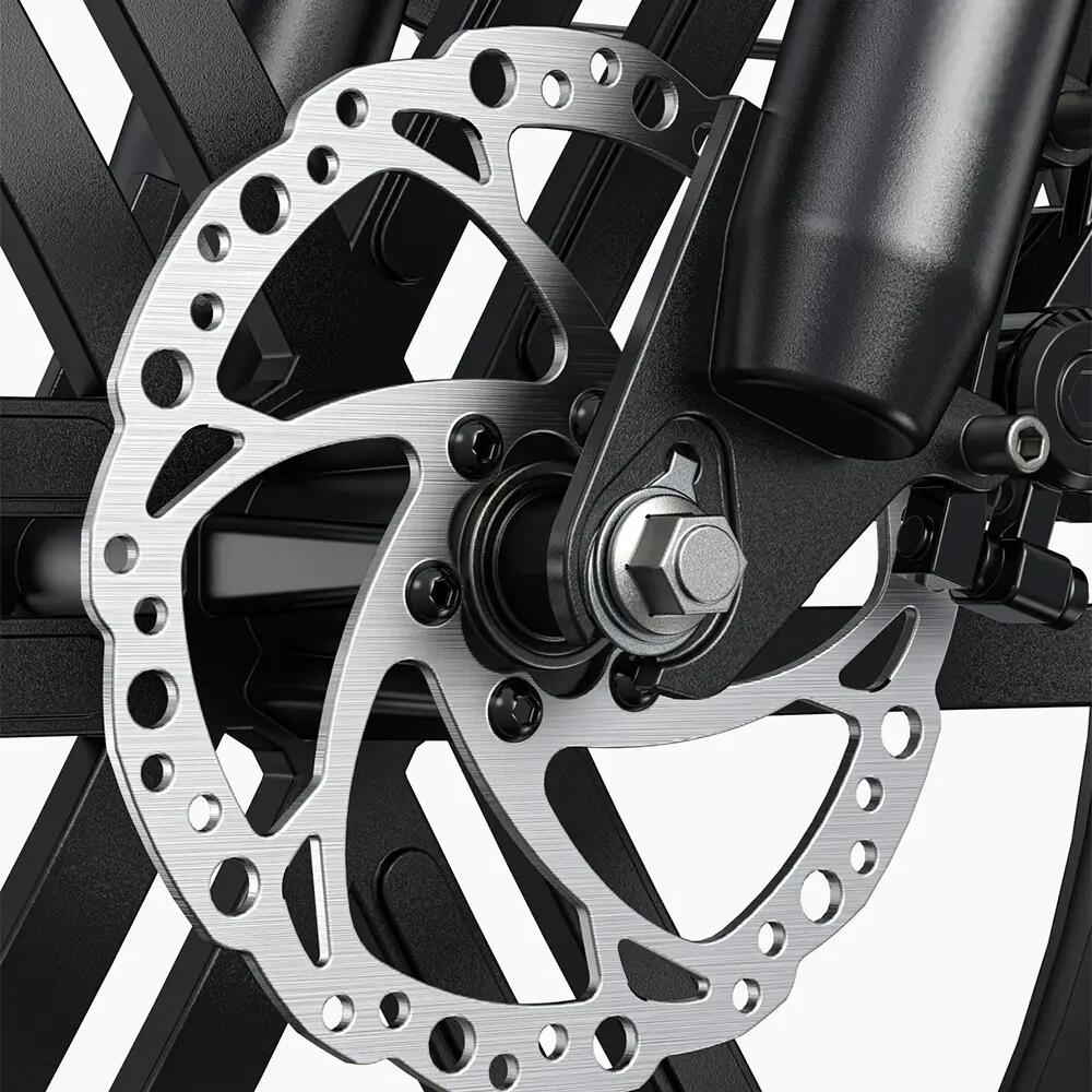 Bicicleta eléctrica ENGWE L20 BOOST de 20", 250 W, 48 V, 13 Ah, 7 velocidades. 11/15