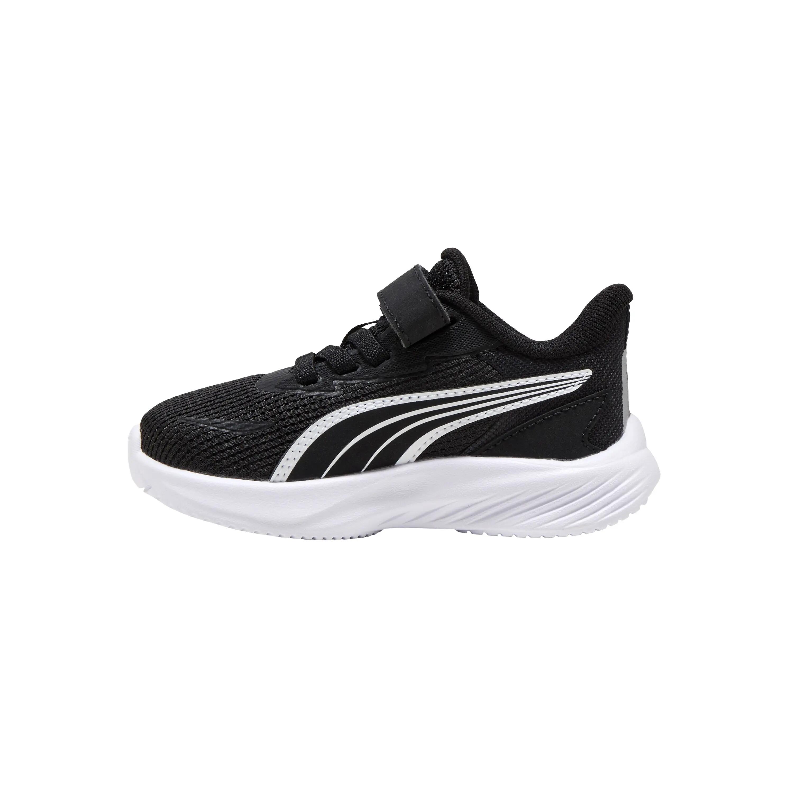 PUMA picture