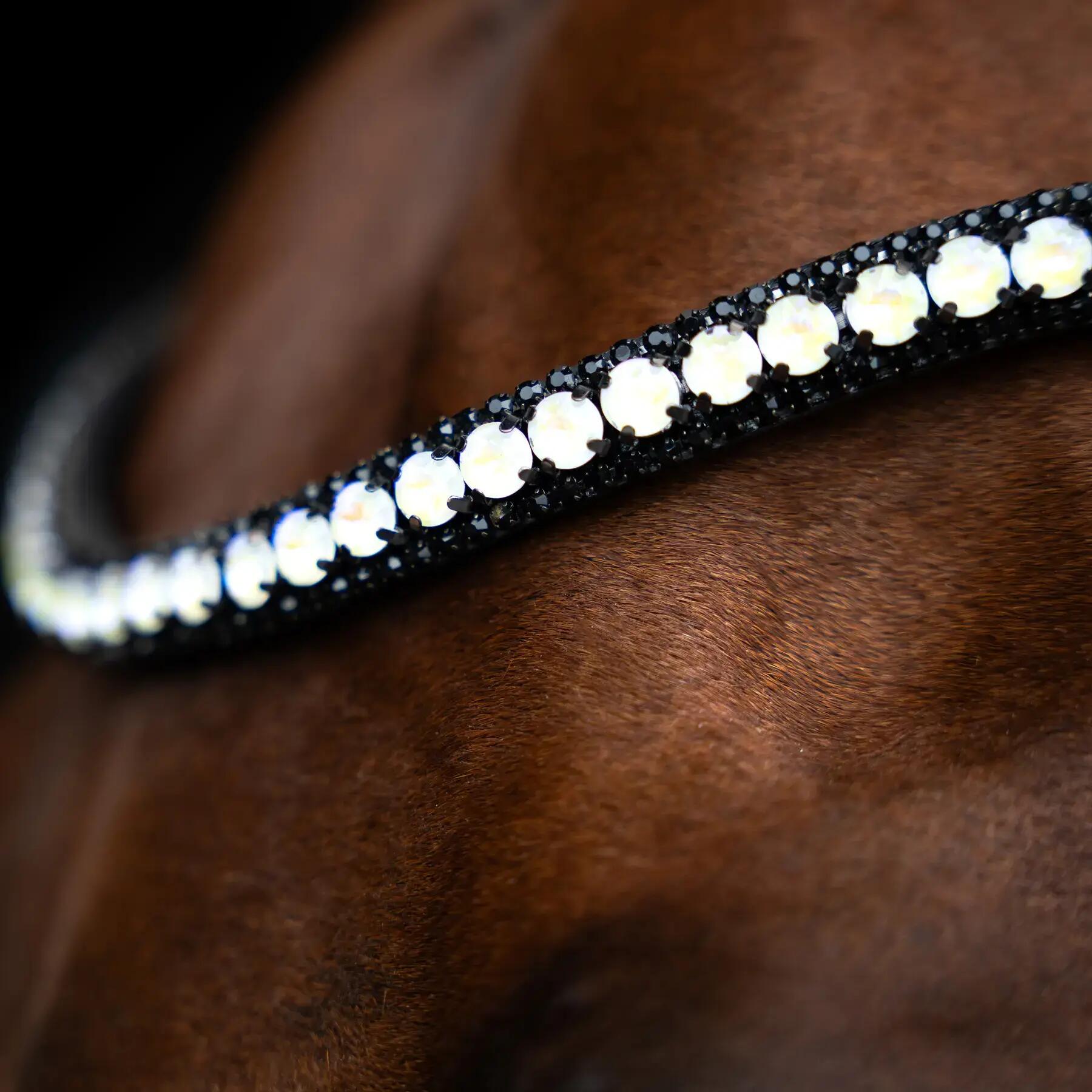 Frontale per cavallo Imperial Riding Maxima 2/2