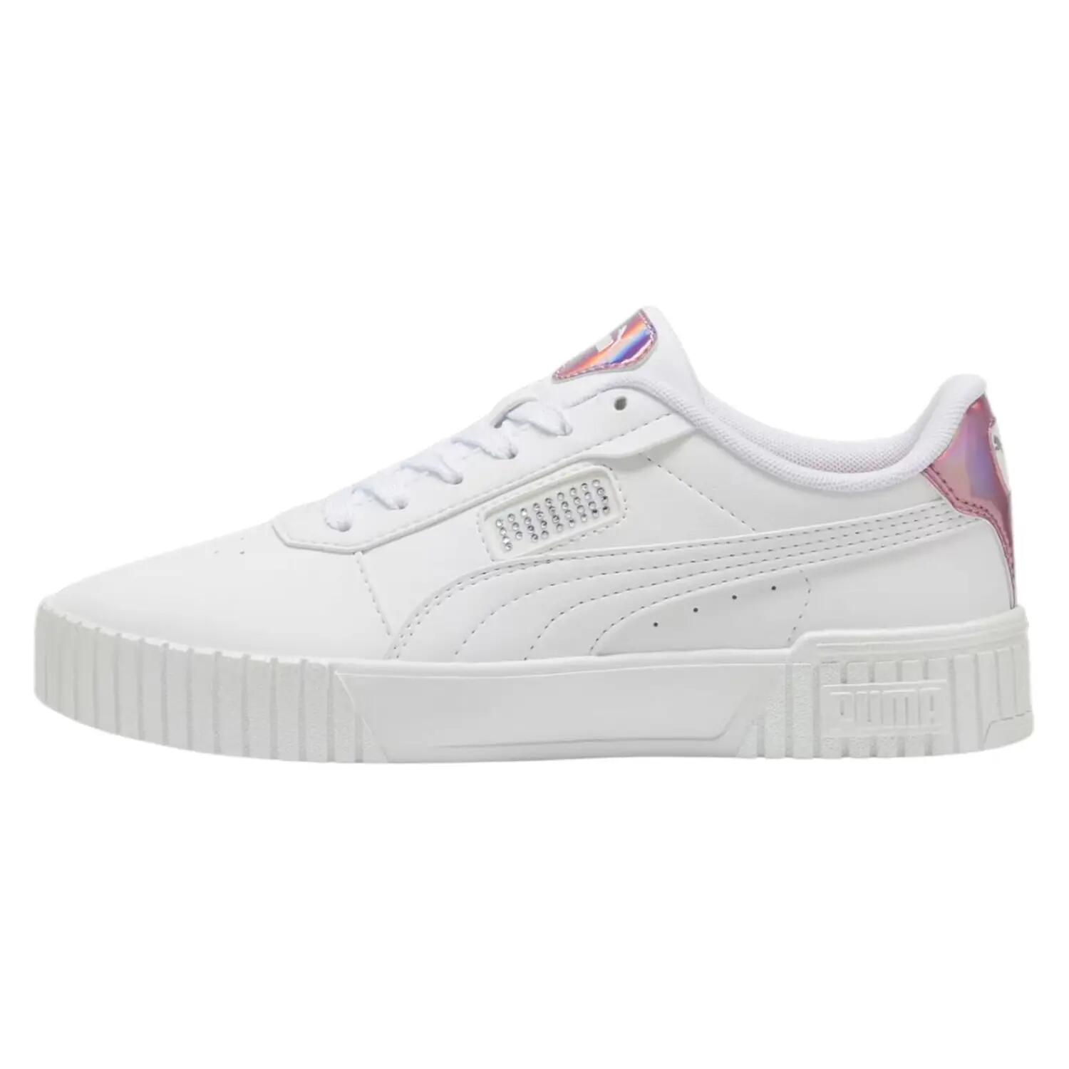 PUMA picture