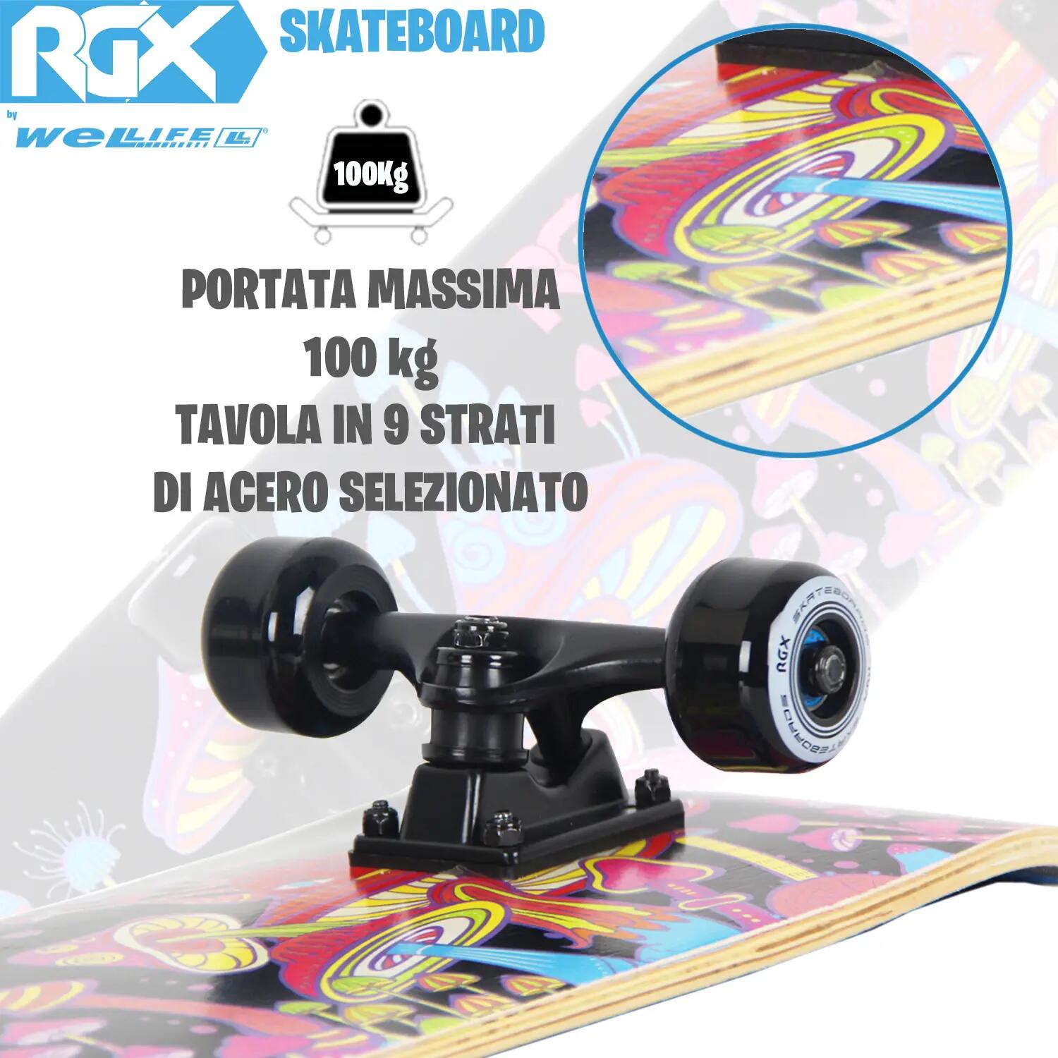 Skateboard in Acero per Bambini e Adulti Principianti 31” Double Kick 7/8