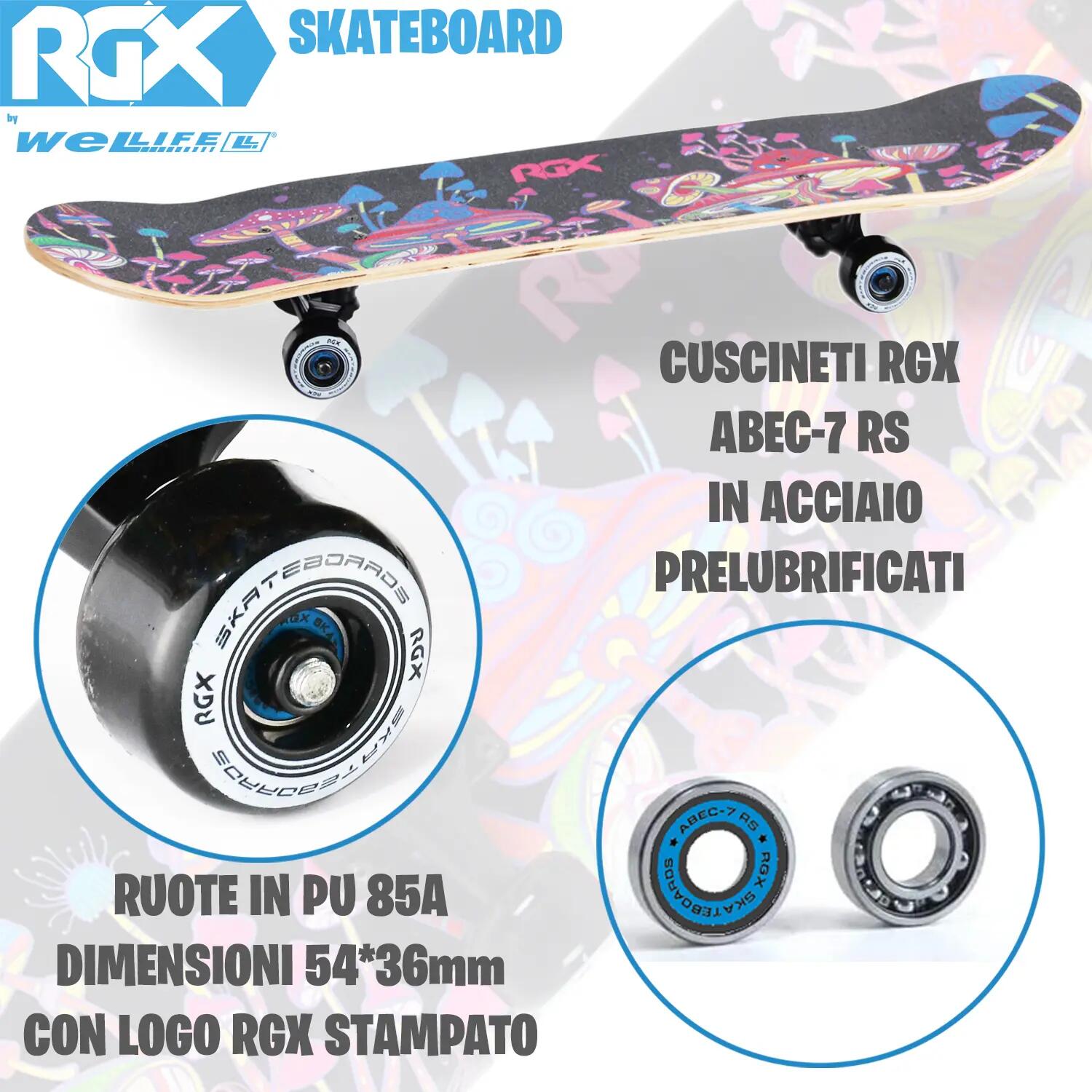 Skateboard in Acero per Bambini e Adulti Principianti 31” Double Kick 6/8