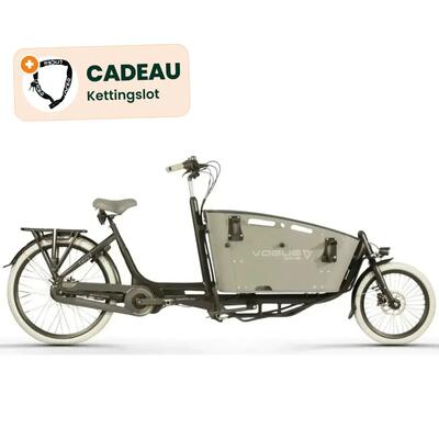 Carry 2 - elektrische bakfiets - 250w - middenmotor - grijs - kettingslot cadeau