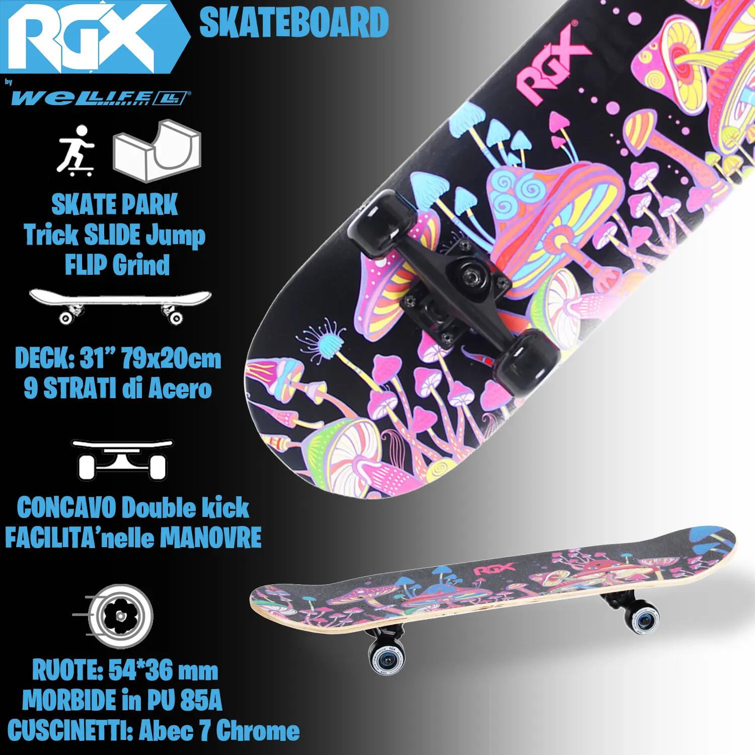 Skateboard in Acero per Bambini e Adulti Principianti 31” Double Kick 2/8