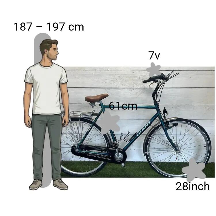 Gebraucht Giant Custom 2/4