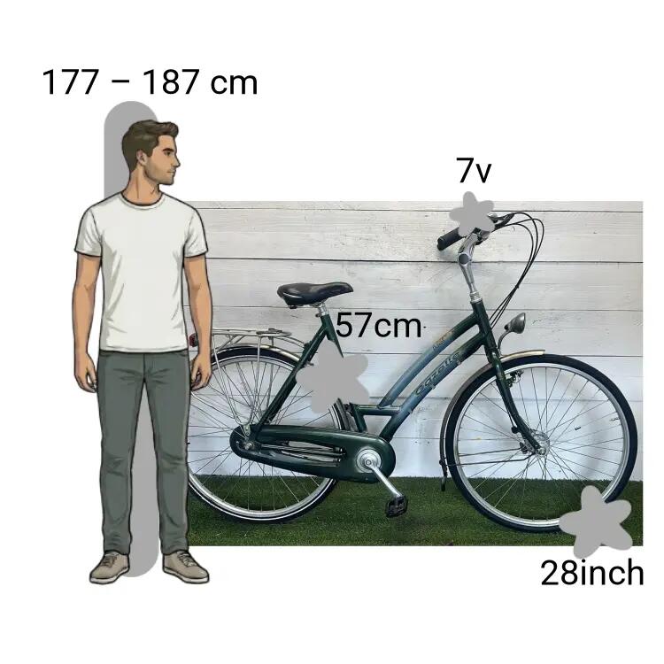 Tweedehands Gazelle Davos 2/4