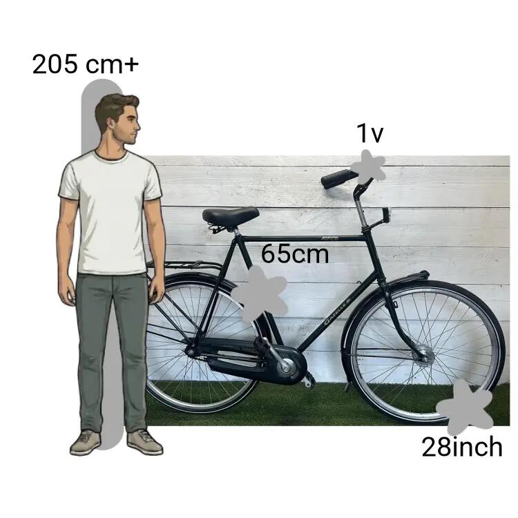 Tweedehands Gazelle Free 2/4