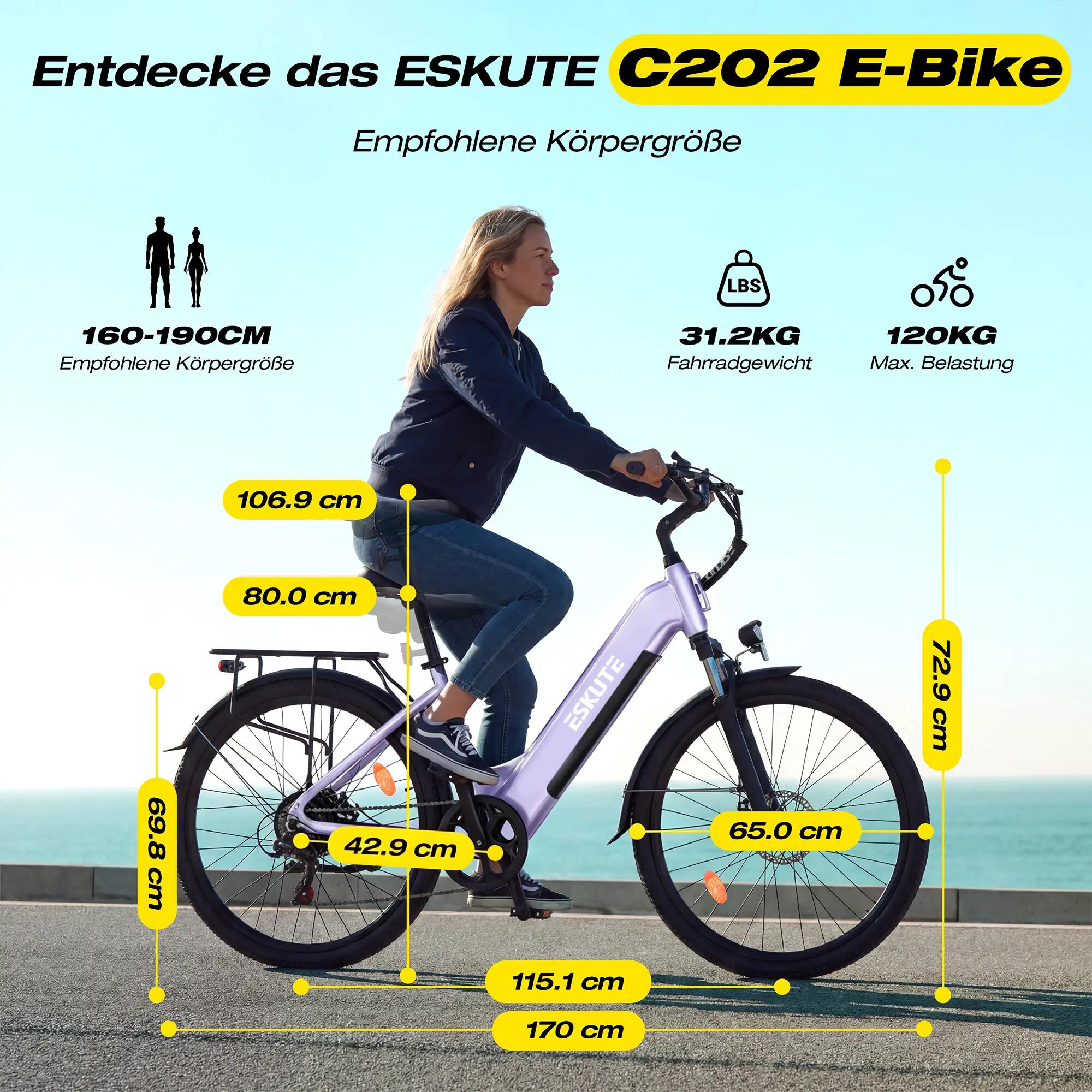 Vélo Électrique Adulte ESKUTE C202 - Moteur 250W - 48V17.5Ah - Pneu 26" 6/7