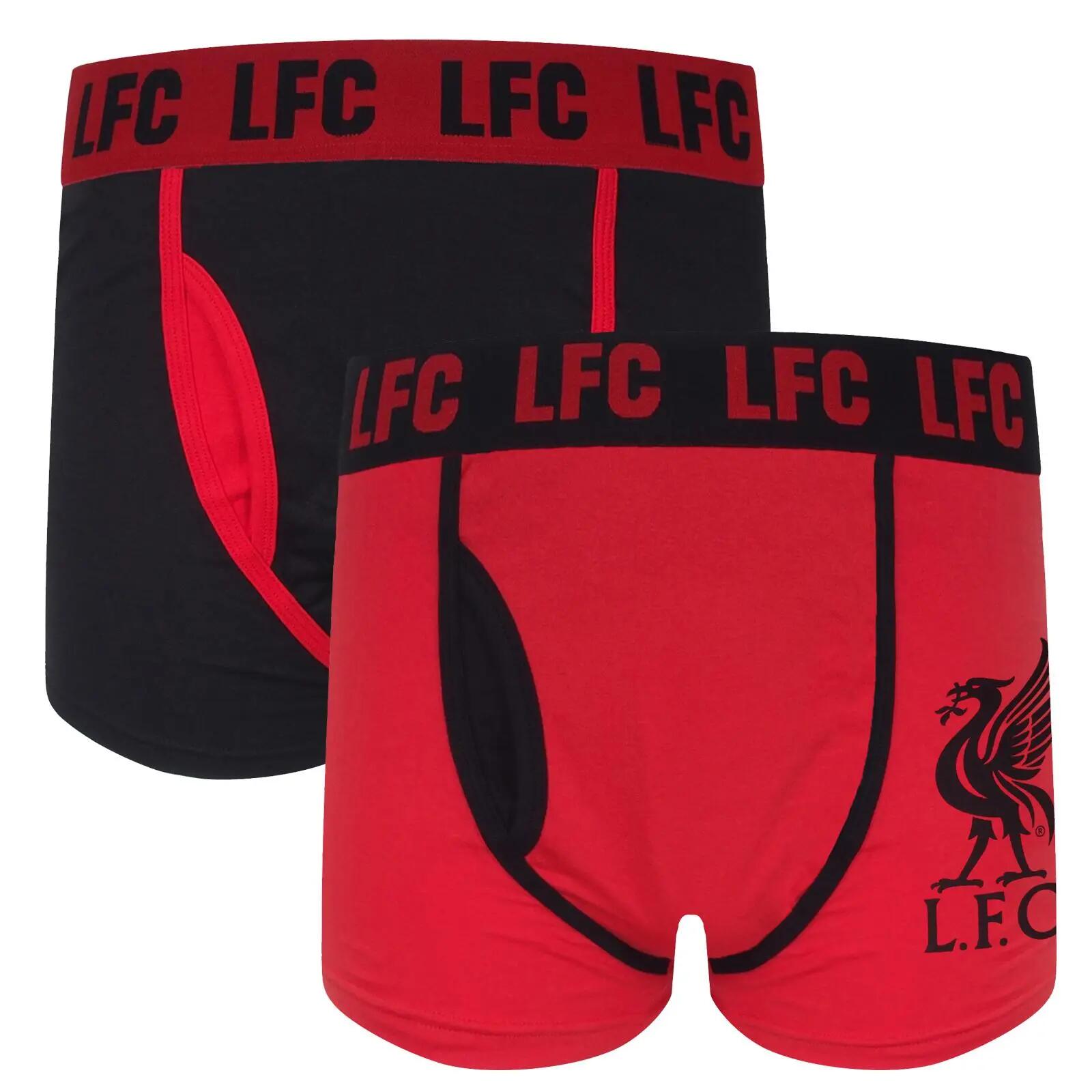 LIVERPOOL FC picture