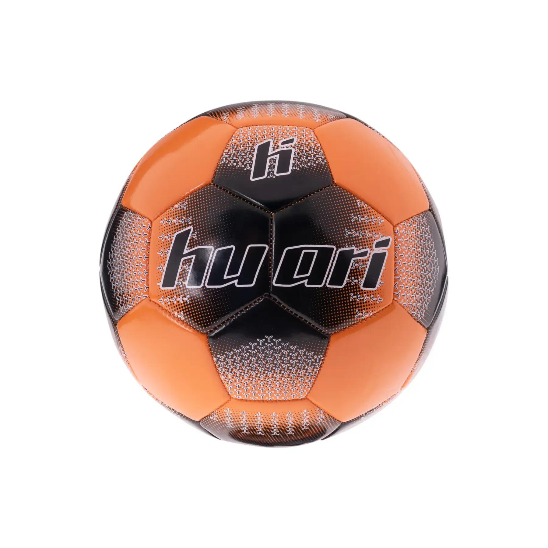 HUARI picture