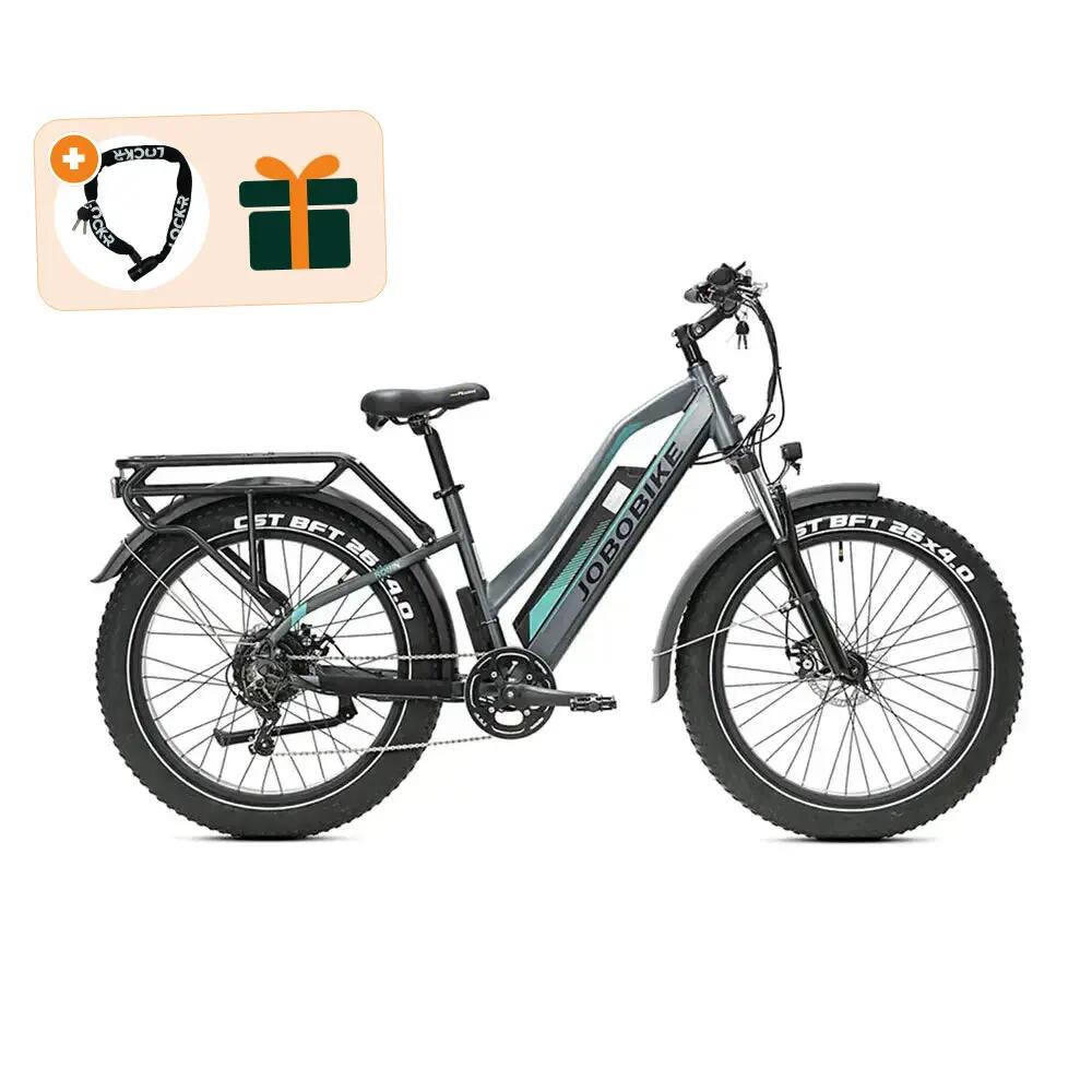 JOBOBIKE picture