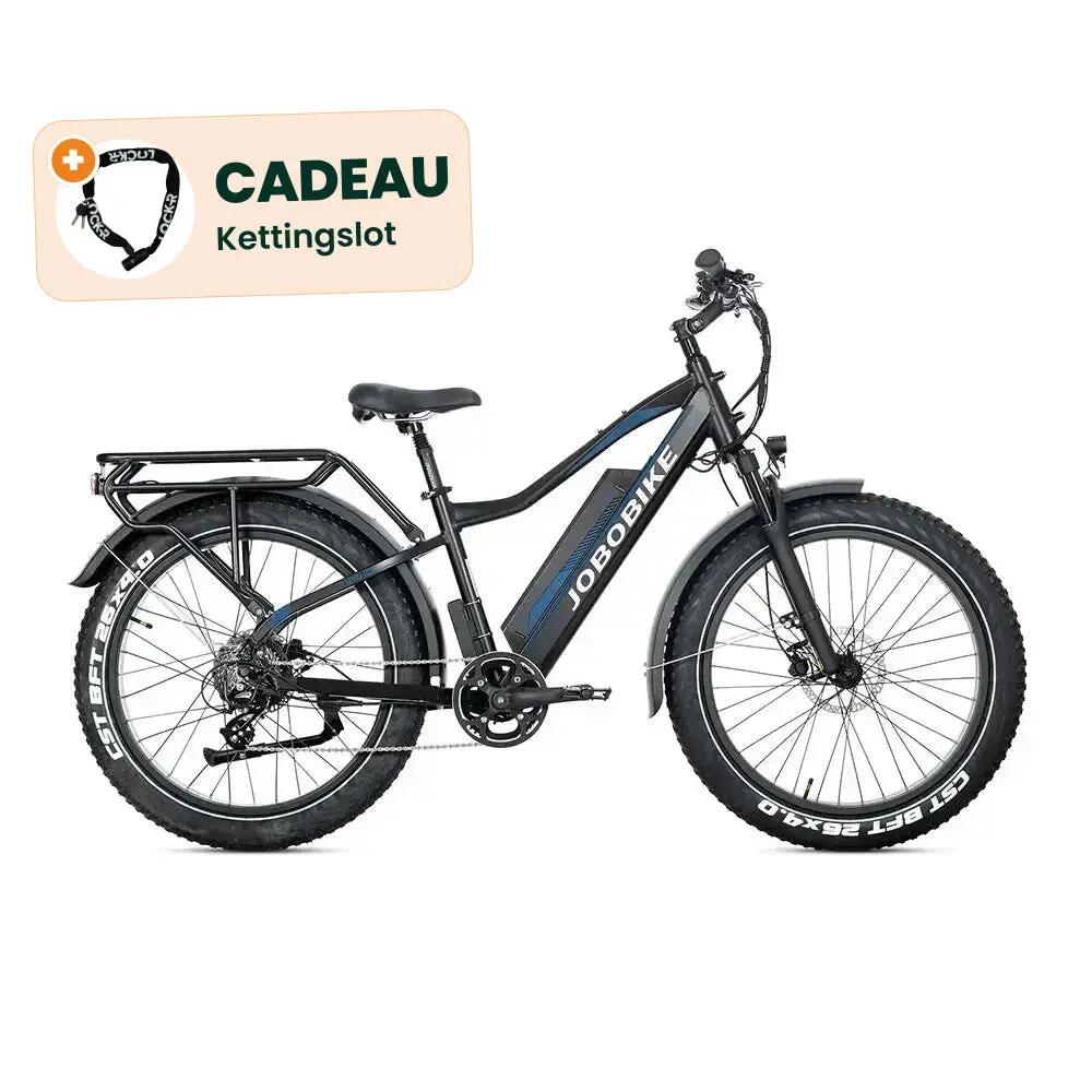 JOBOBIKE picture