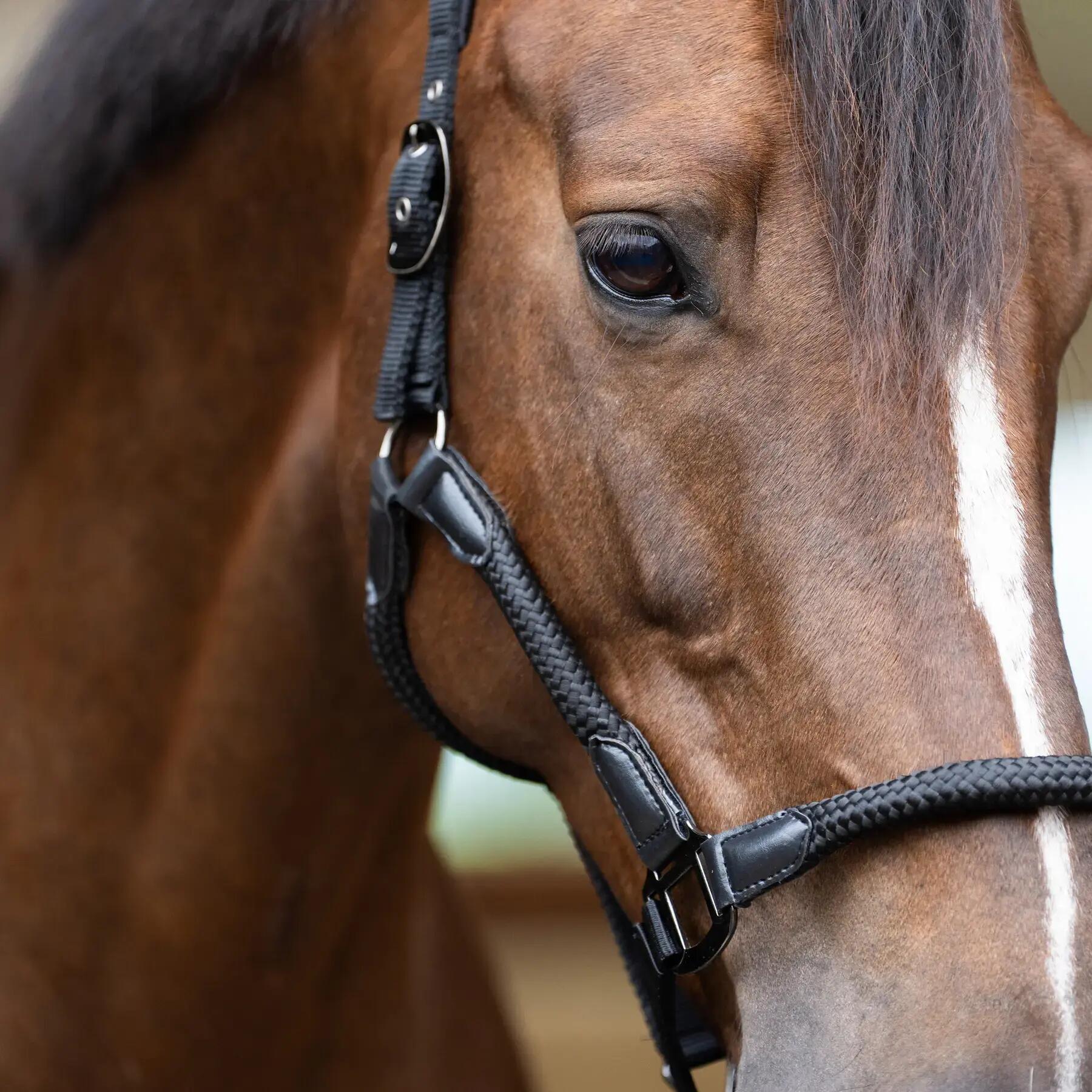 Halster voor paarden Imperial Riding Laura 3/3
