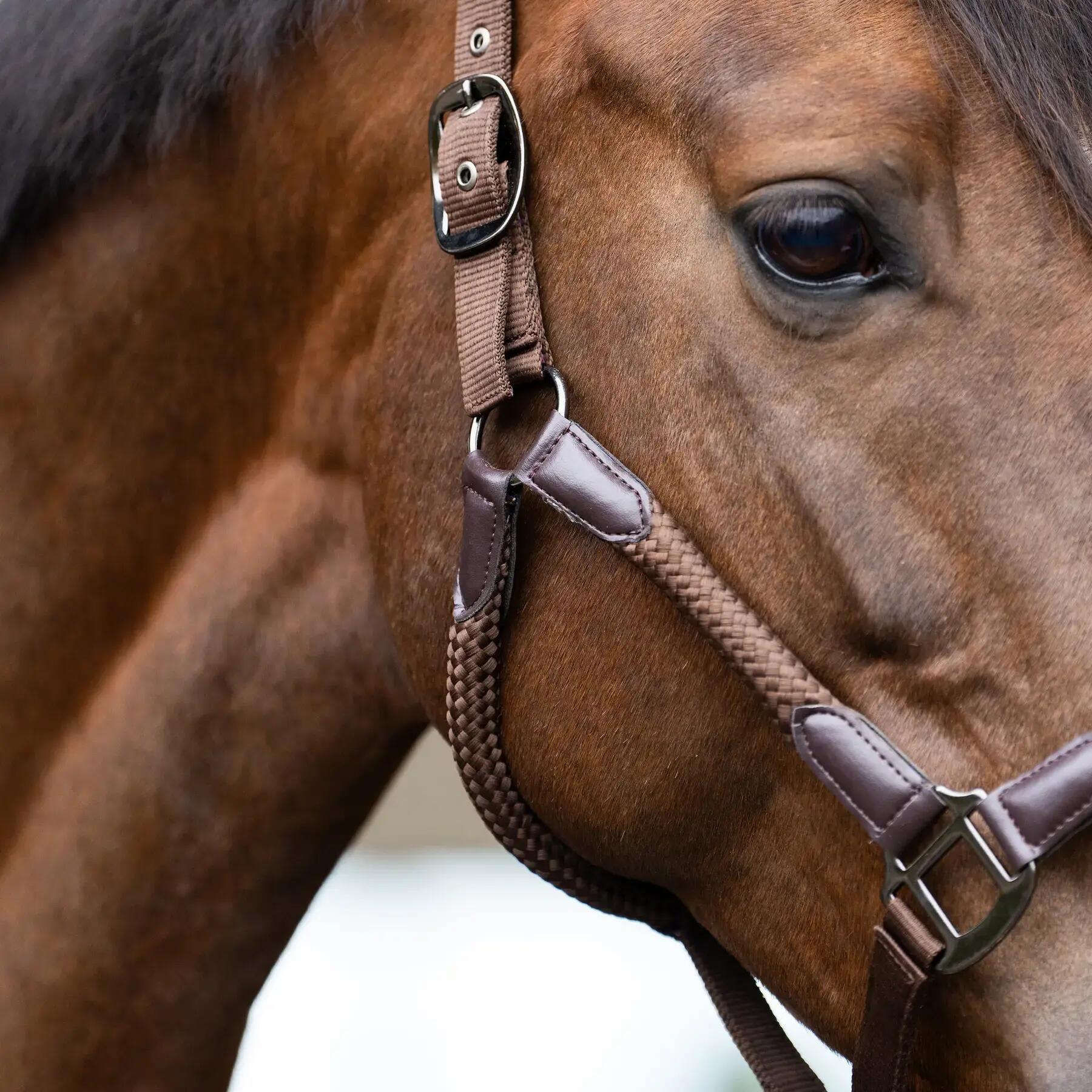 Licol pour cheval Imperial Riding Laura 3/3