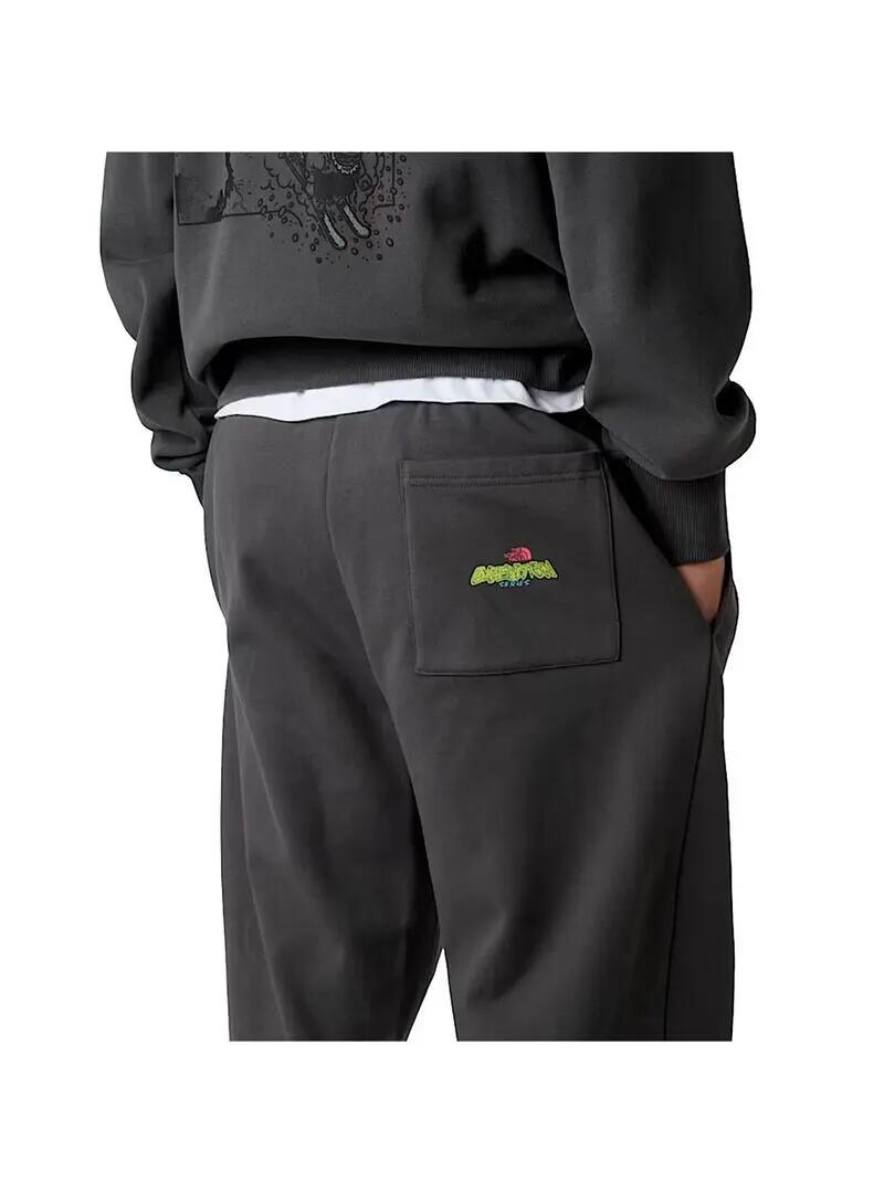 Pantalón para Hombre The north face Expedition Gris 6/6