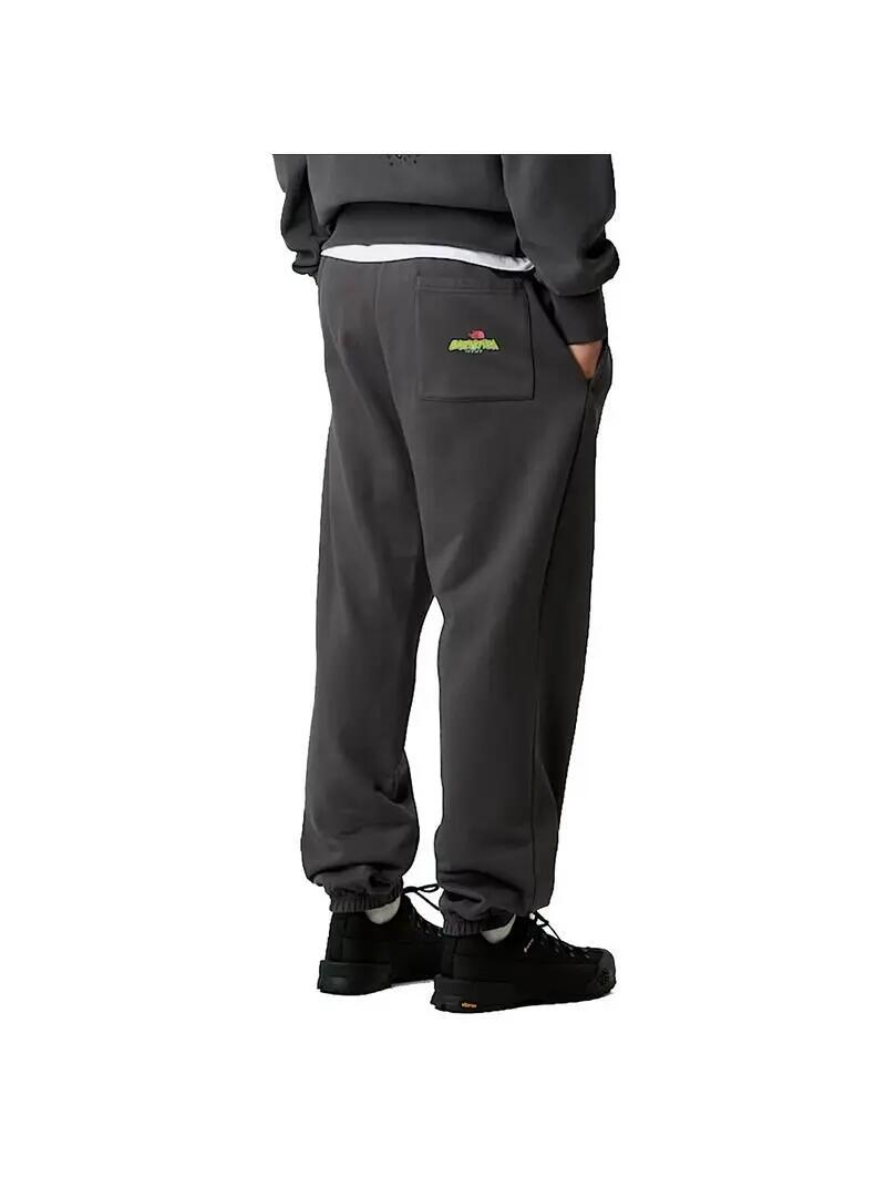 Pantalón para Hombre The north face Expedition Gris 4/6
