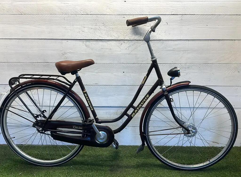 BATAVUS picture
