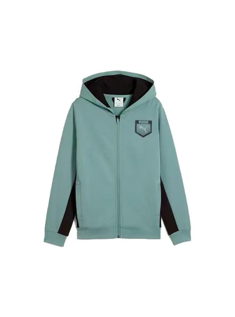 PUMA picture
