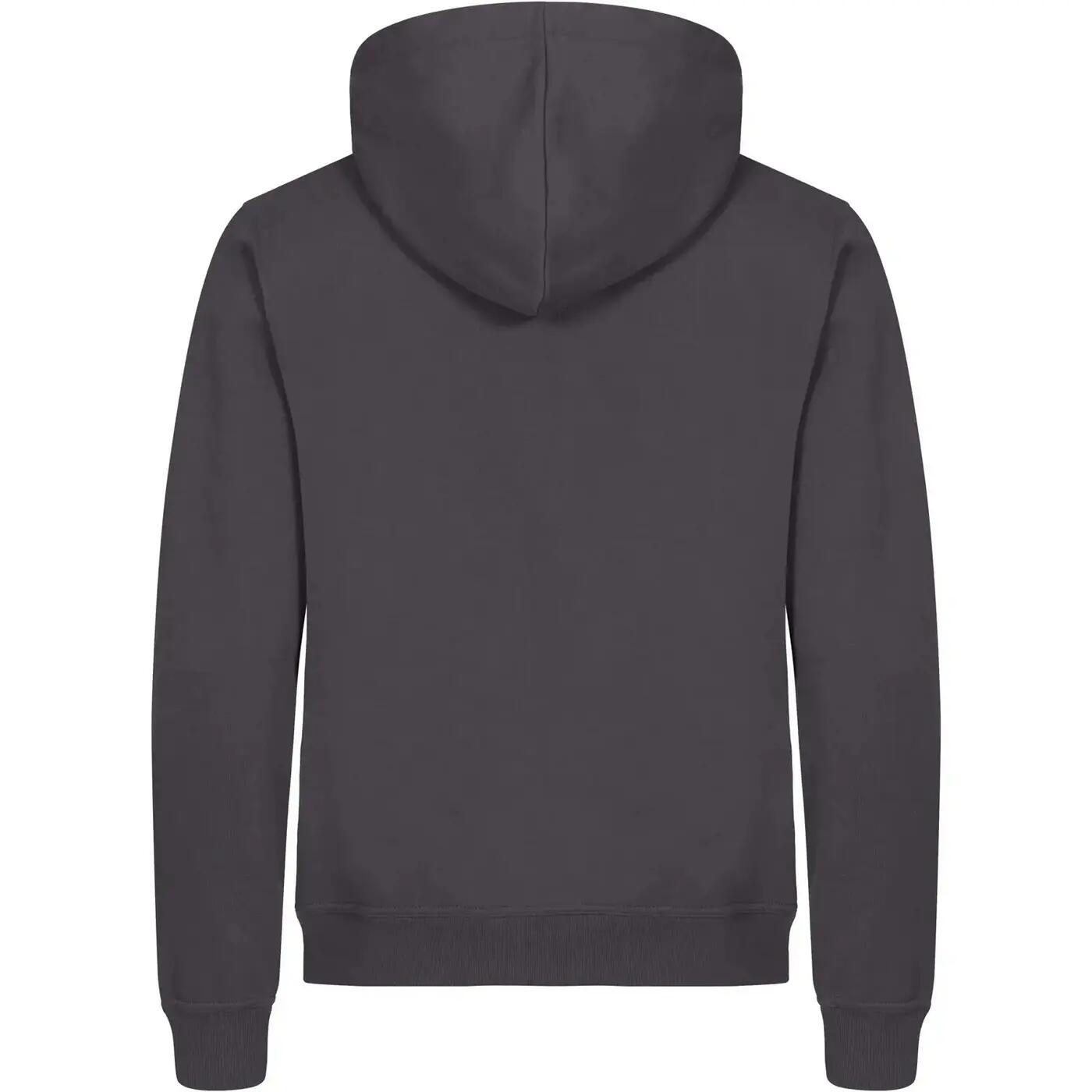 Veste À Capuche MIAMI Adulte (Gris Métal) 2/4