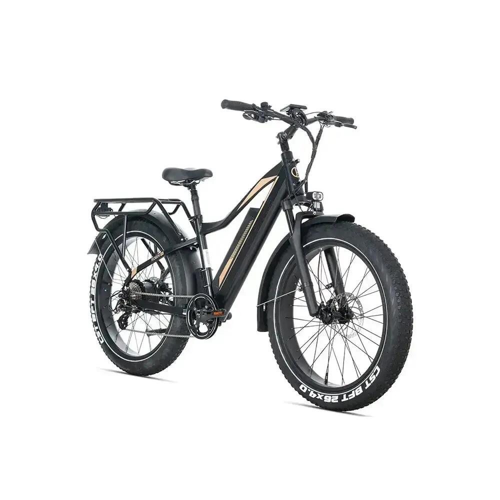 Robin Pro - E-Mountainbike - 26 Zoll - 250W - 960Wh Akku - Schwarz-Gold 2/2
