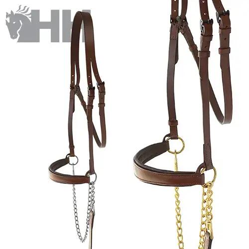 HISPANO HIPICA picture