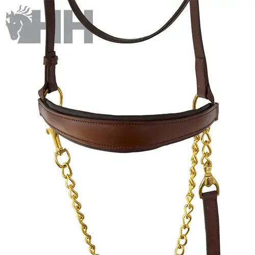 Bridon d'équitation en cuir avec chaîne Hispano Hipica Eco 2/2
