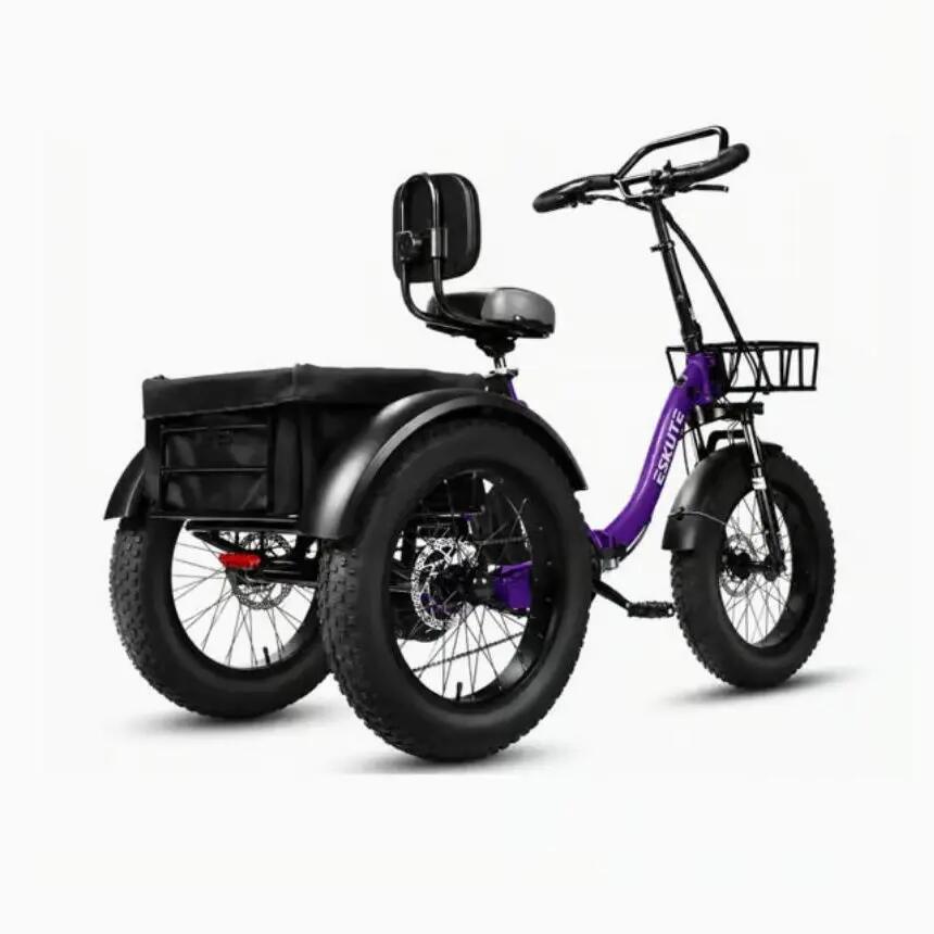 Triciclo Elettrico ESKUTE T302Pro - Batteria Al Litio 48V 20.8Ah - Pneumatico 20 3/8
