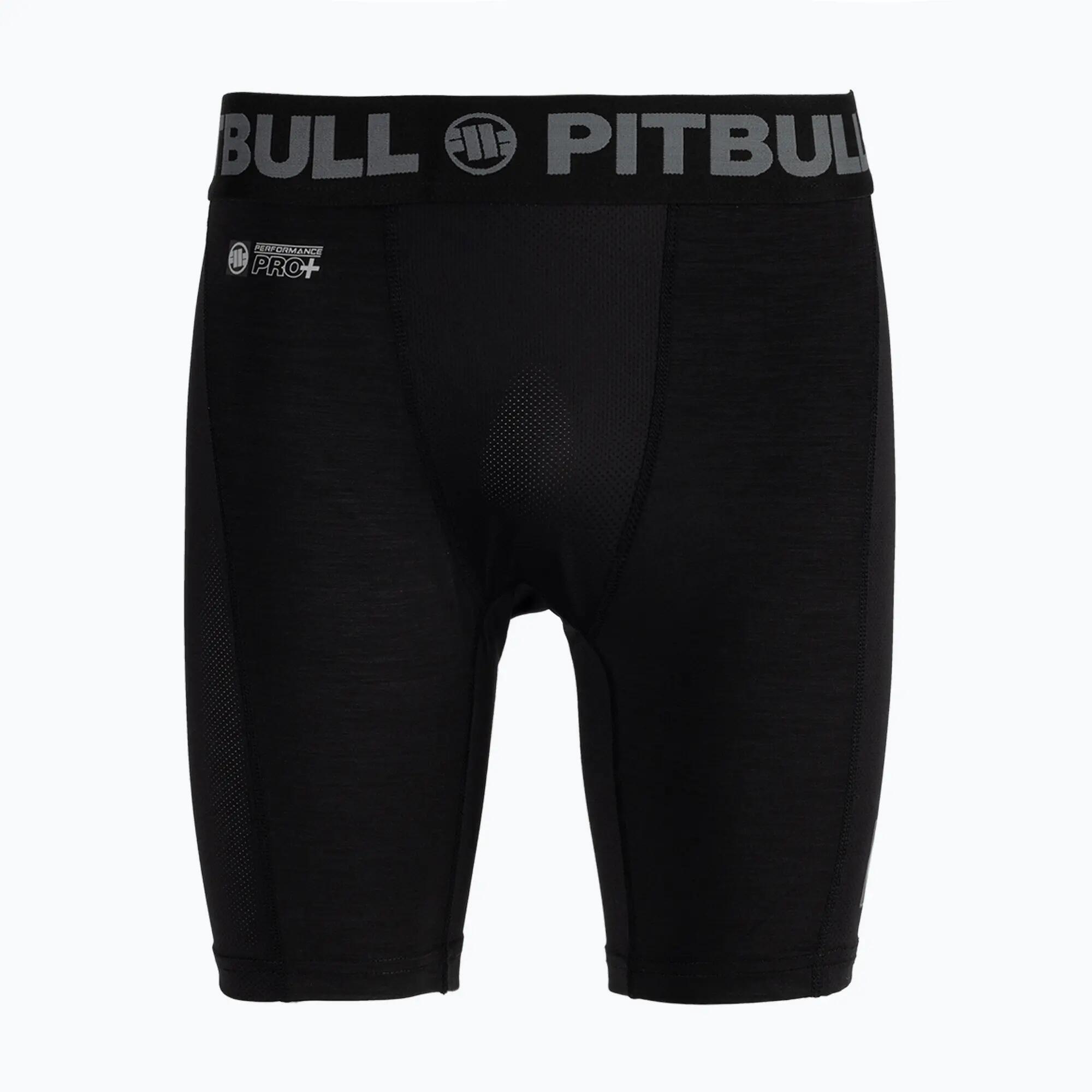 PITBULL picture