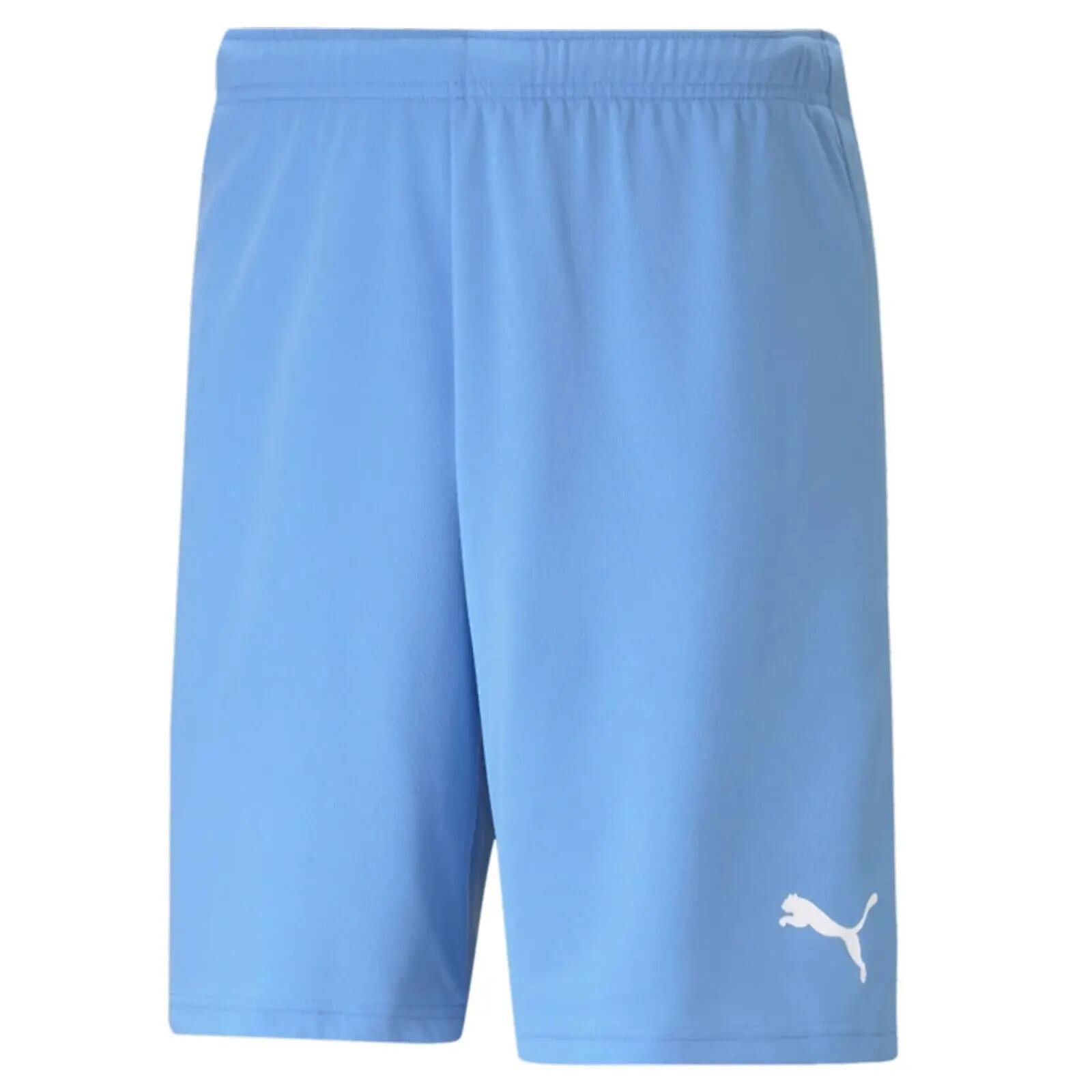 PUMA picture
