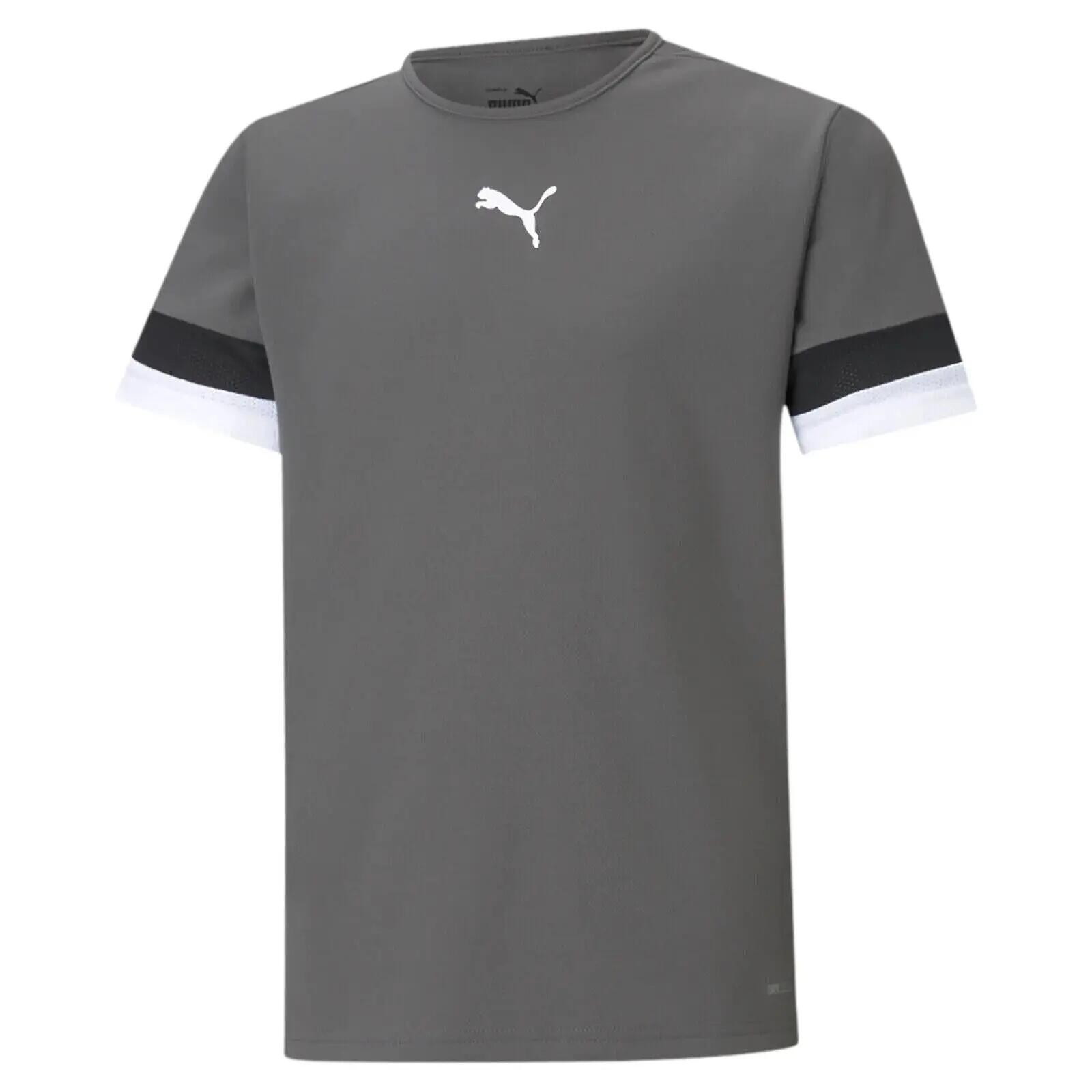 PUMA picture