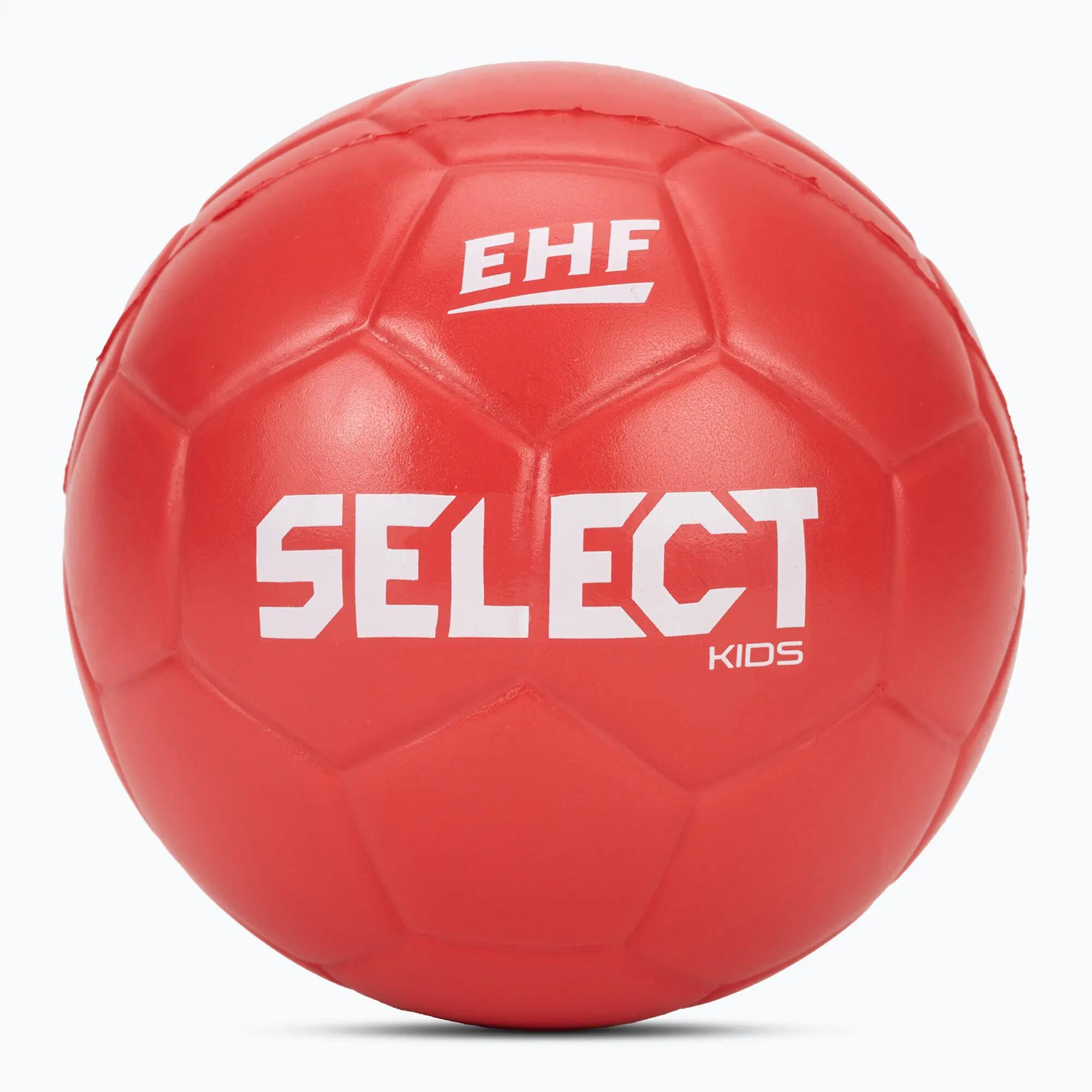 SELECT picture