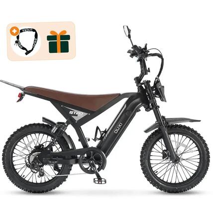 Fatbike Électrique Adulte GT-20 PRO avec Freins Hydrauliques Noir