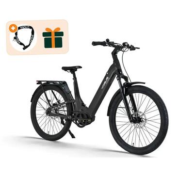 Artemis - elektrische fiets - 28 inch - matt black - kettingslot cadeau