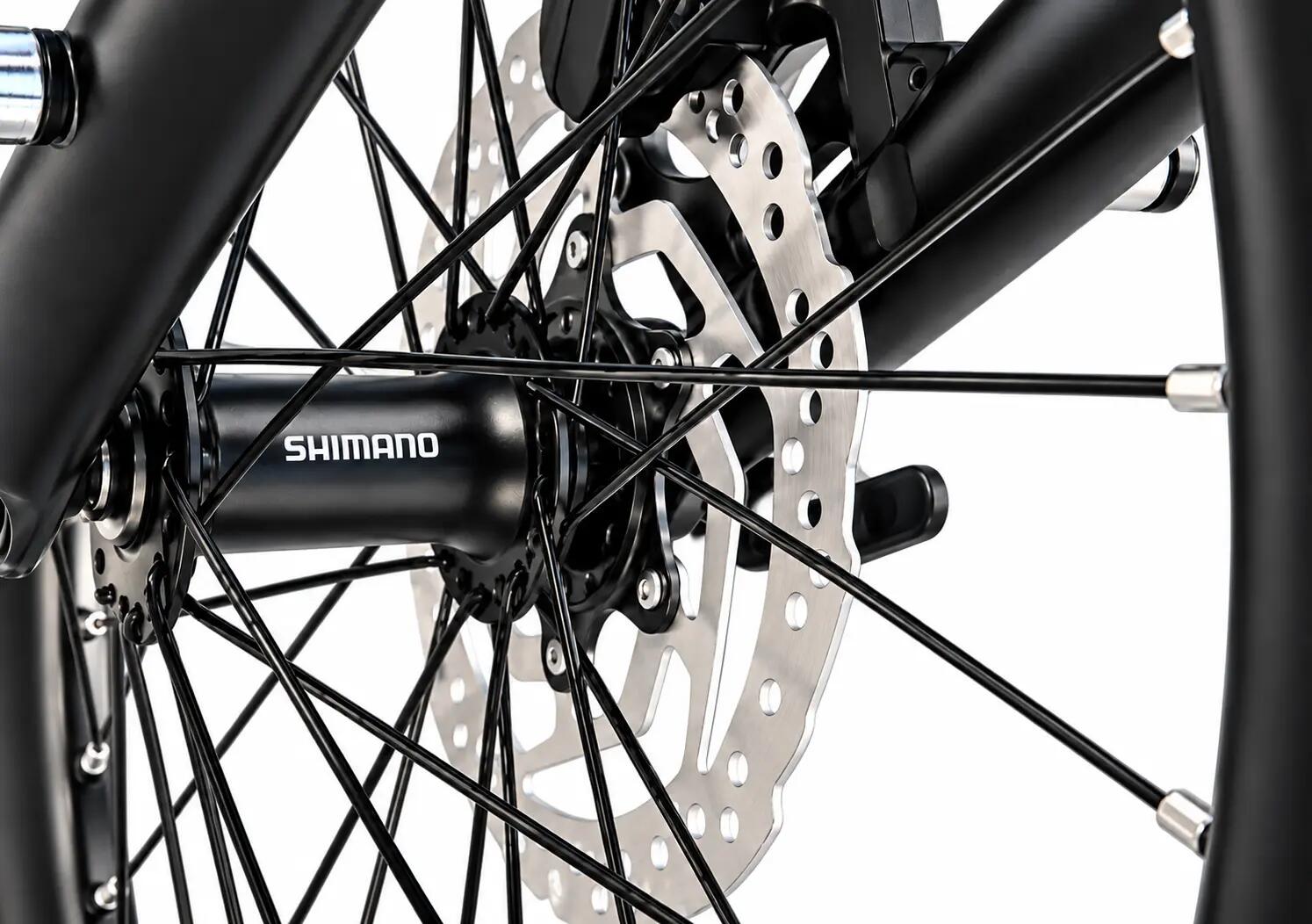Cargo Ebike VOLT LITE 3.0 Motor Central Shimano E5000 Alivio 540Wh Bordeaux 9/15