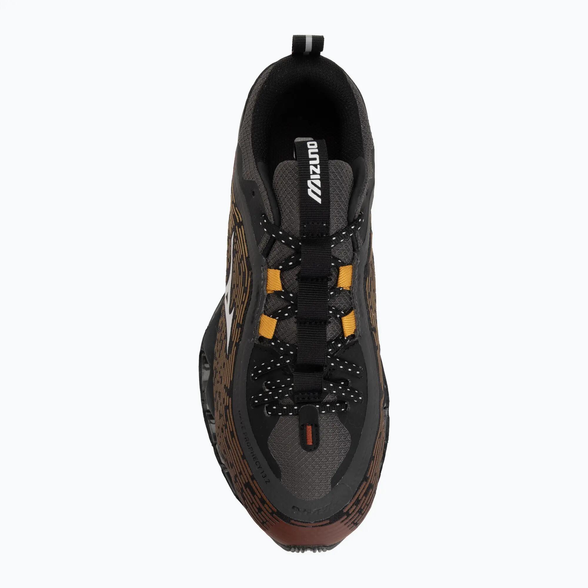 Buty Mizuno Wave Prophecy 13.2 Henna/Cloudscape/Black Oyster 5/7