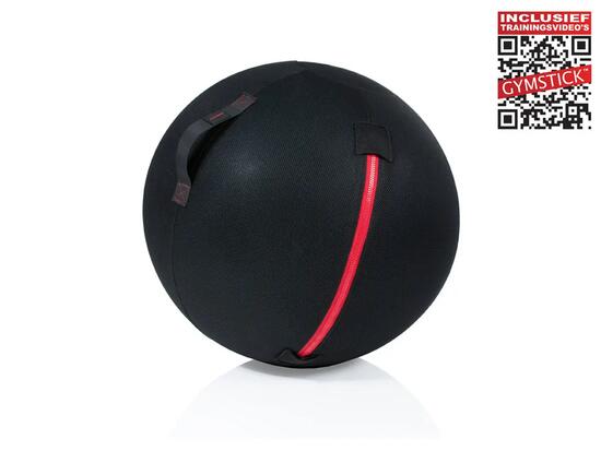 Palla da ufficio - 75 cm - Con video di allenamento online