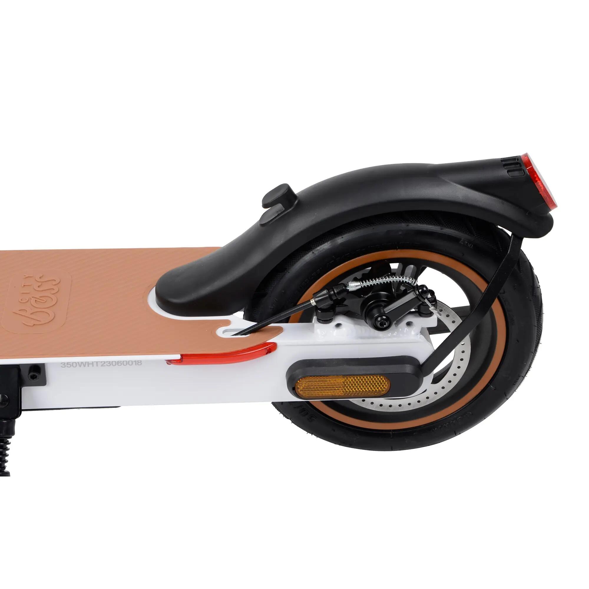 Elektrická koloběžka City Boss RS350 6/7
