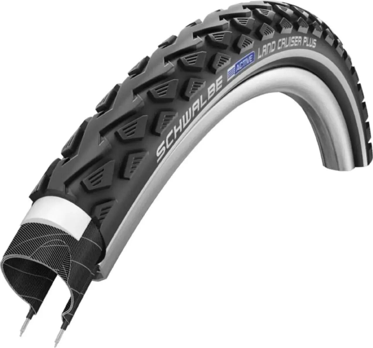SCHWALBE picture