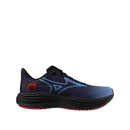 Zapatos de correr Mizuno Wave Rider 29 Amsterdam Azul