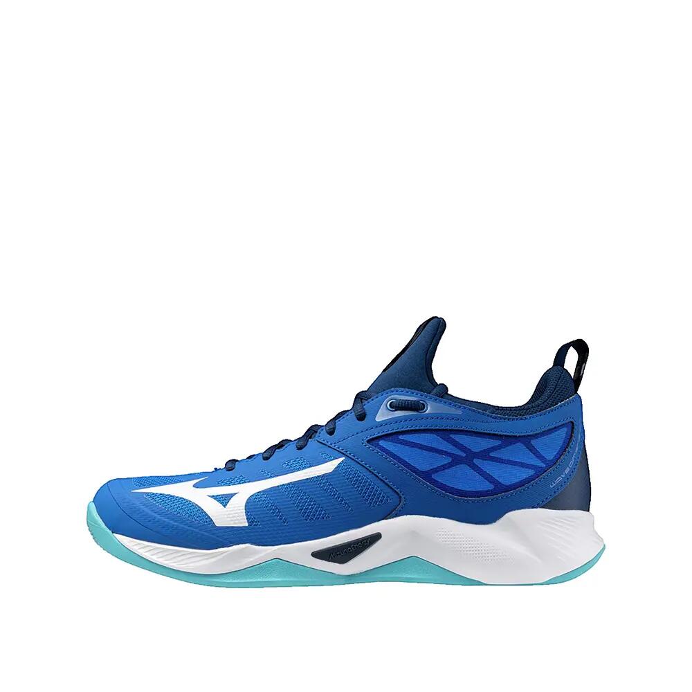 BLUE / WHITE