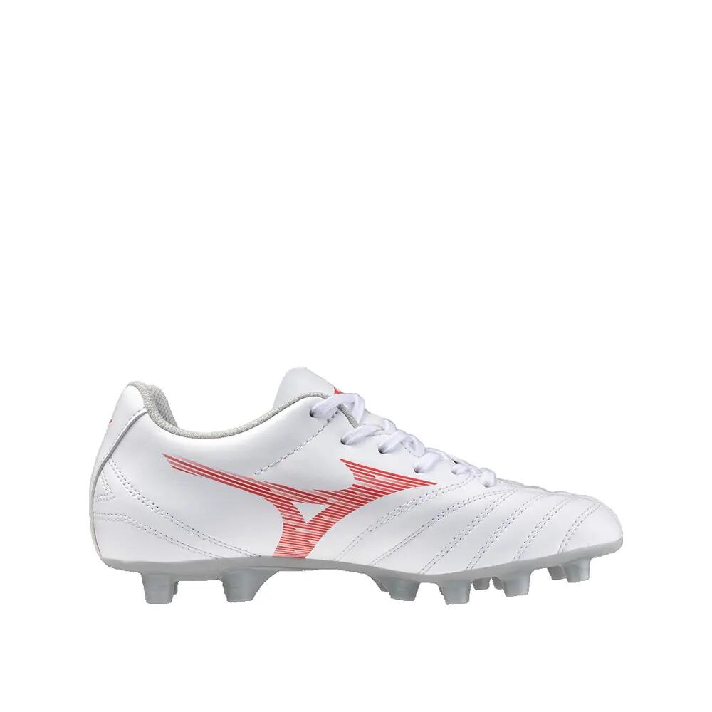 MIZUNO picture