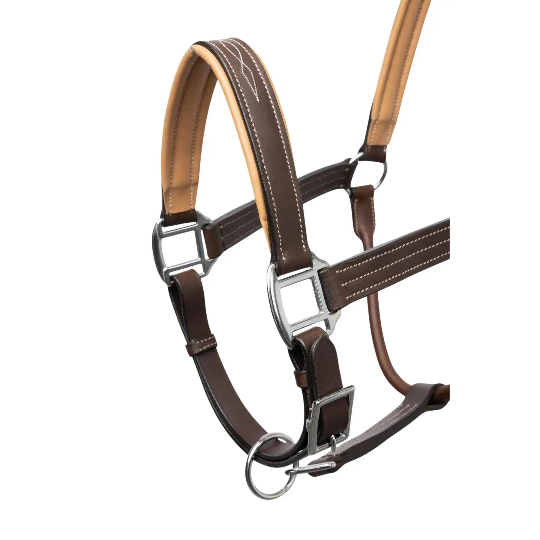 Nazzuolo per cavallo Horze Sophistication Leather 6/6