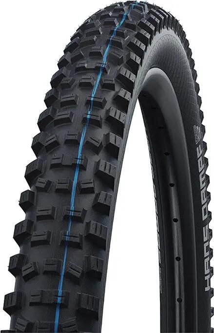 SCHWALBE picture