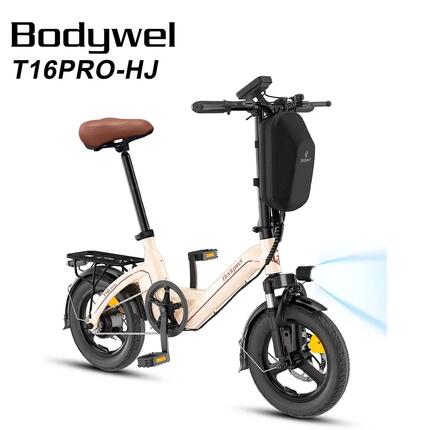 T16PRO-HJ elektrische stadsfiets voor volwassenen, 36V10Ah accu, 14" banden.